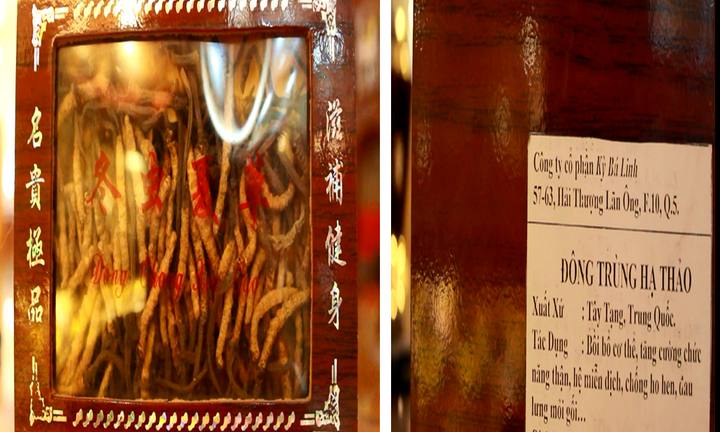 Thật thật giả giả đông trùng hạ thảo